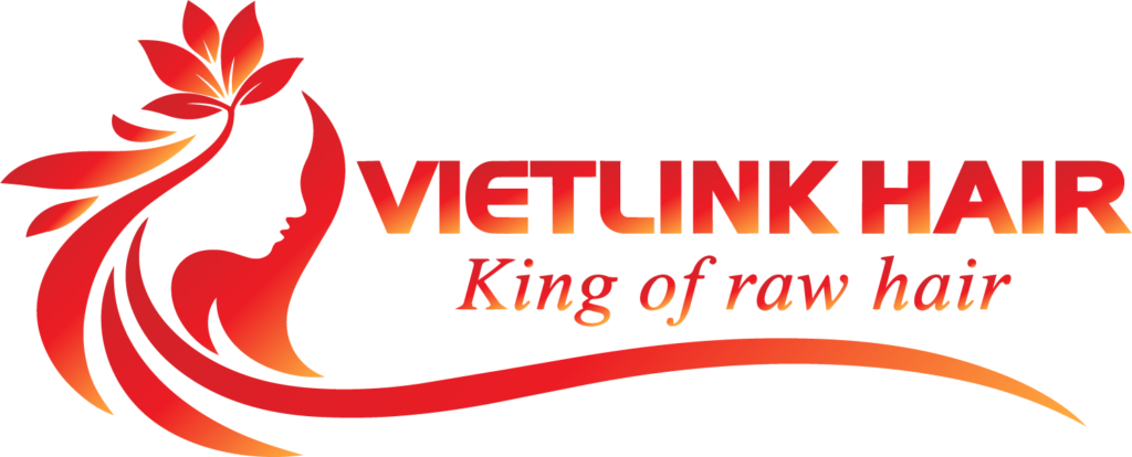 Vietlink Hair