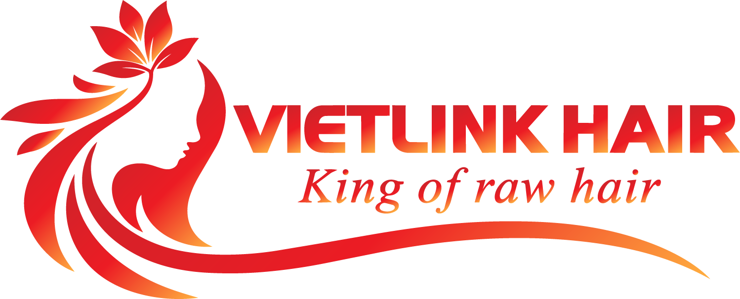 logo-Vietlinkhair.com