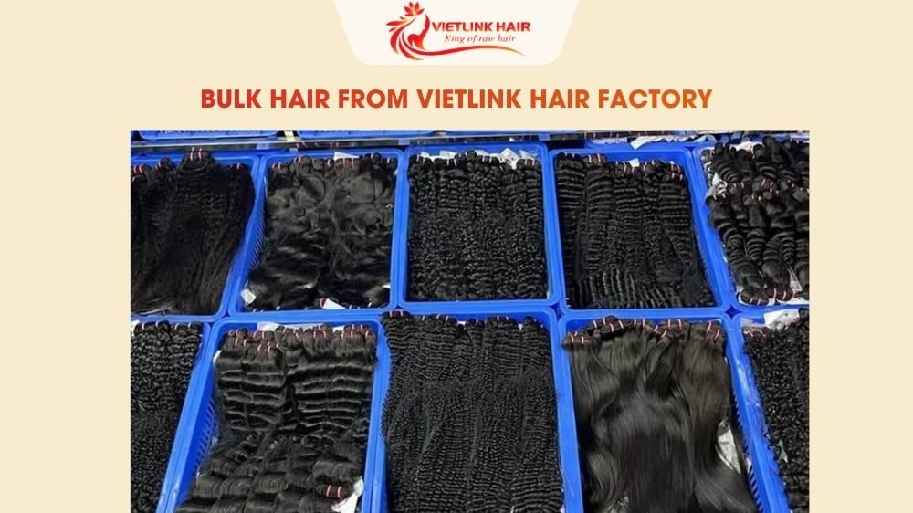 Bulk Hair from VietLink Hair Factory