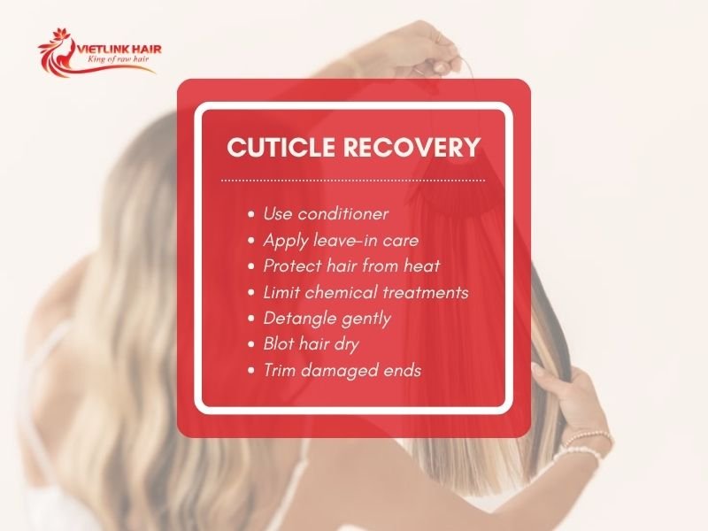 Can Damaged Cuticle in Hair Be Restored?