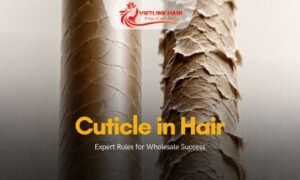 Cuticle in Hair Expert Rules for Wholesale Success