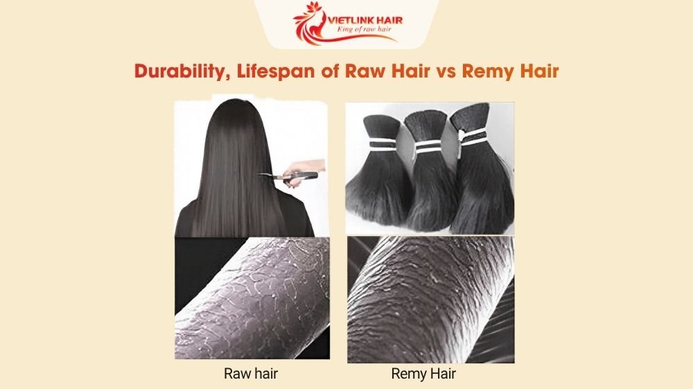 Durability, Lifespan of Raw Hair vs Remy Hair