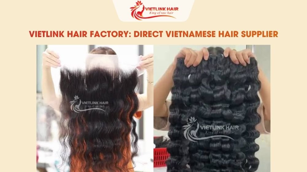 VietLink Hair Factory: Direct Vietnamese Hair Supplier